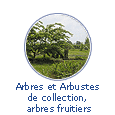 Arbres et arbustes de collection, arbes fruitiers